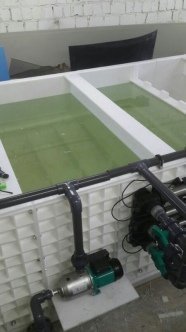 УЗВ для рыбы