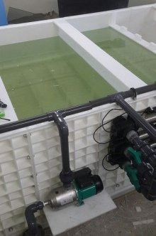 Разведение рыбы в УЗВ: главное о главном