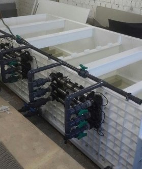 Разведение рыбы в УЗВ: главное о главном