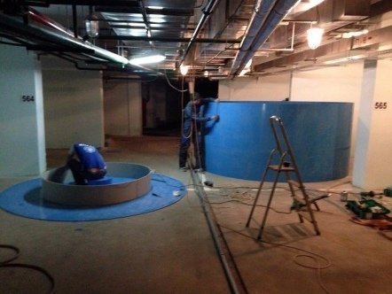 Выращивание рыбы в системах УЗВ