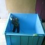 Пластиковые купели для&nbsp;бани