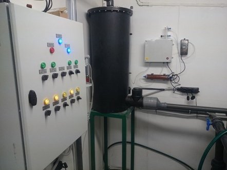 Рыба в УЗВ: разведение и&nbsp;выращивание