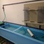 Рыба в УЗВ: разведение и&nbsp;выращивание