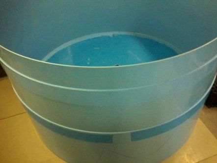 Разведение рыбы в бассейнах