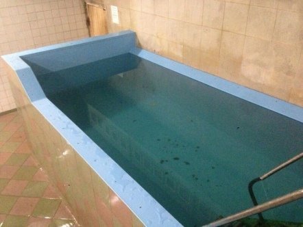 Что такое реконструкция бассейна?