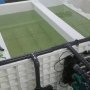 Разведение рыбы как бизнес