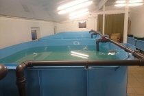 УЗВ для рыбы 2000