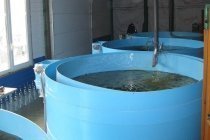 УЗВ для рыбы 1000