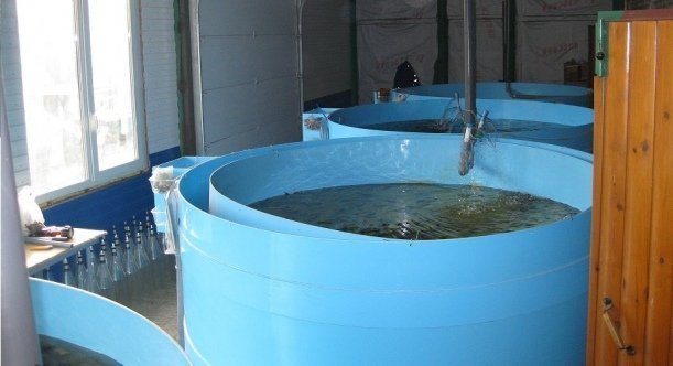 УЗВ для рыбы 1000