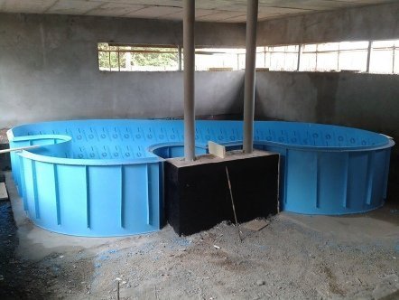 Фото бассейнов 2013