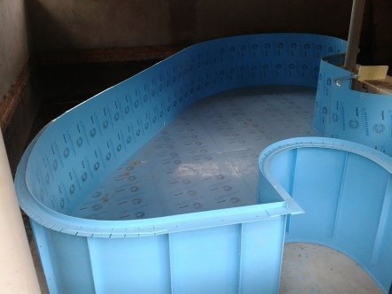 Фото бассейнов 2013