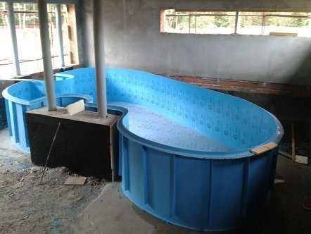 Фото бассейнов 2013