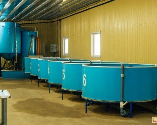 Компрессор для УЗВ